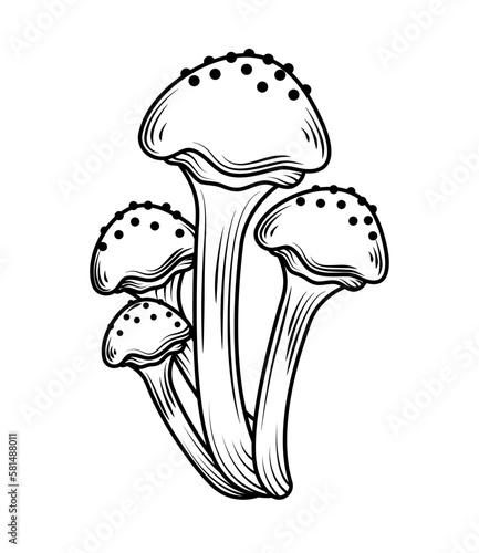 mushrooms wild icon