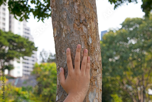 children's hand on the tree, touch the old tree bark, protect nature, green eco-friendly lifestyle, sunny morning,