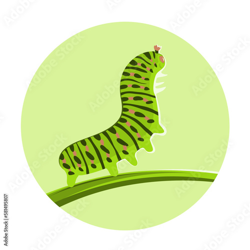 Green caterpillar crawling on a leaf. Butterfly larva. Insect pest. Striped color. Animals and wildlife. Vector cartoon illustration close up