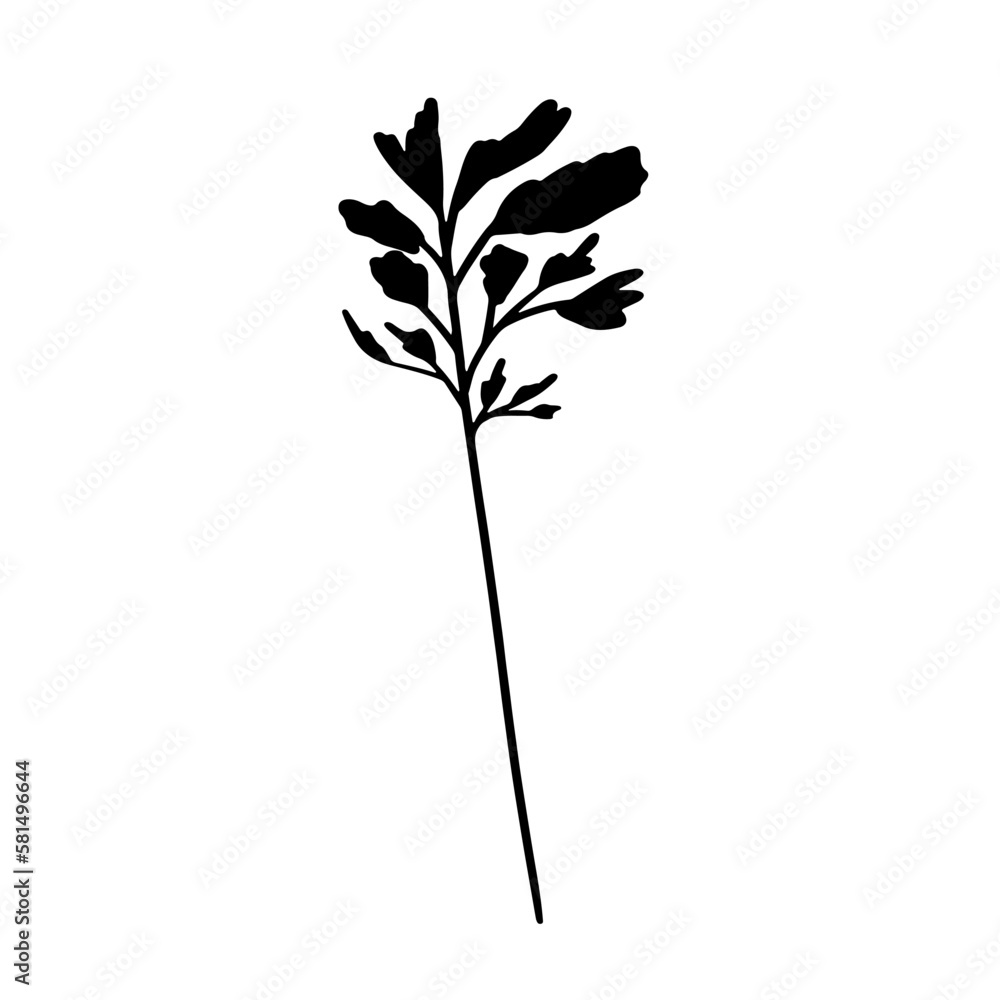 Vector hand drawn grass. Simple contour line art, silhouette, isolated on white background. Herbs, leaves. Vector hand drawn grass. Simple contour line art, silhouette, isolated on white background. Herbs, leaves.