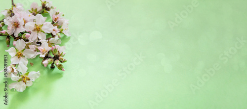 Spring blossom on pastel green background. Almond tree bloom and bokeh light nature flat lay,