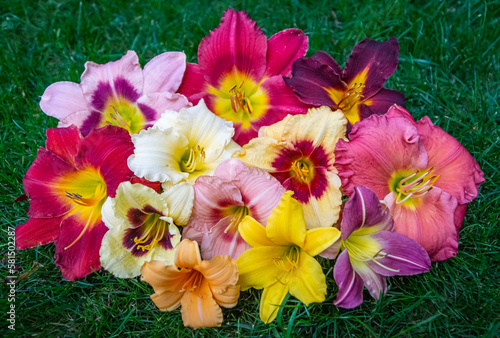 Fotografie bouquet of daylilies