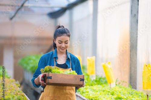 Basket with fresh vegetable...
