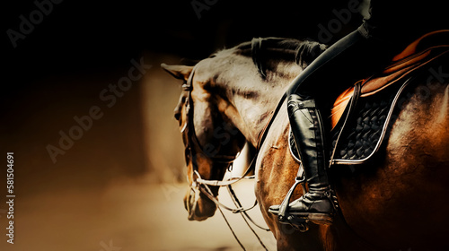 A rider is sitting on a beautiful bay racehorse in the saddle. Equestrian sports and horse riding. The ability to ride a horse.