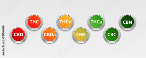 Cannabinoid Guide infographic chart. show main compound cannabinoid from cannabis, hemp, marijuana or marihuana leaves. Chemical compound of cannabis with circle frame. initials,cbd,thc,thca,cbg,cbn,