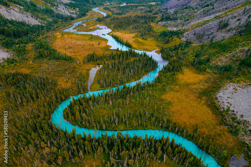 Blue river meander in green forest vegetation of delta Multinskoye lake in mountains Altai sunset, Aerial top view photo