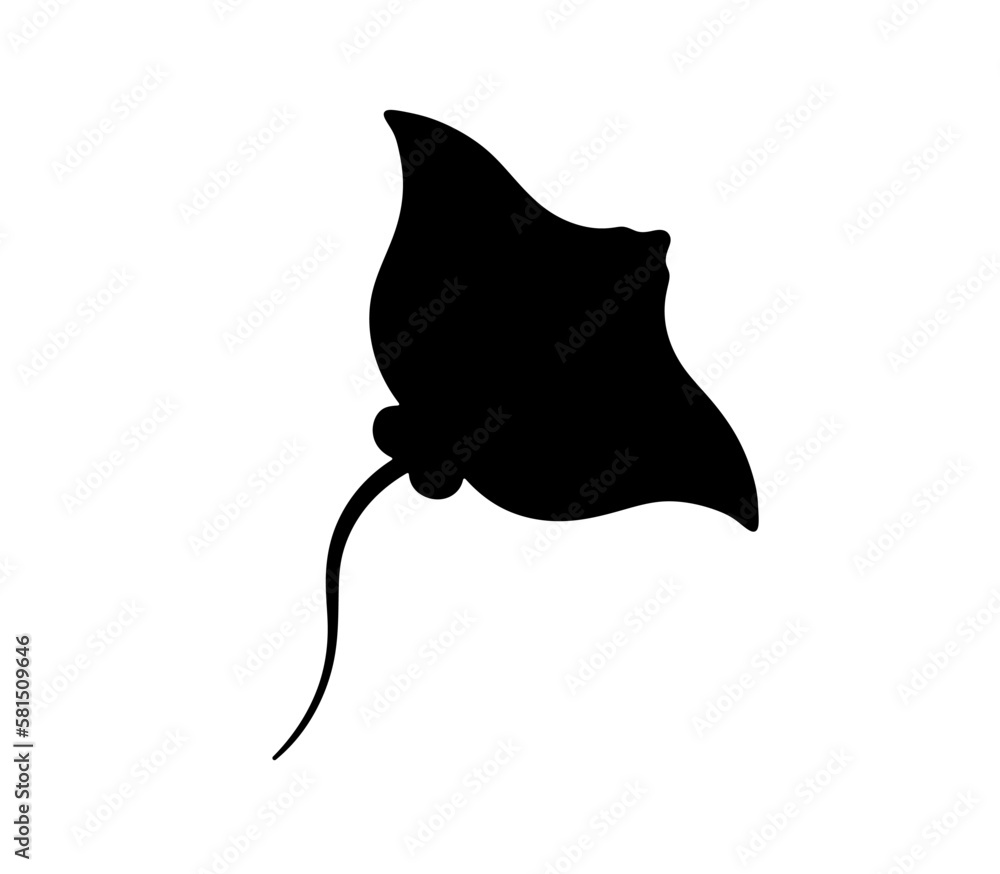 Vector isolated one single swimming stingray