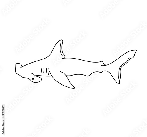 Vector isolated one single swimming floating hammer head side view colorless black and white contour line easy drawing