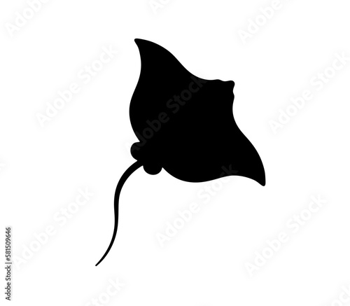 Vector isolated one single swimming stingray manta ray top view colorless black and white outline silhouette shadow shape