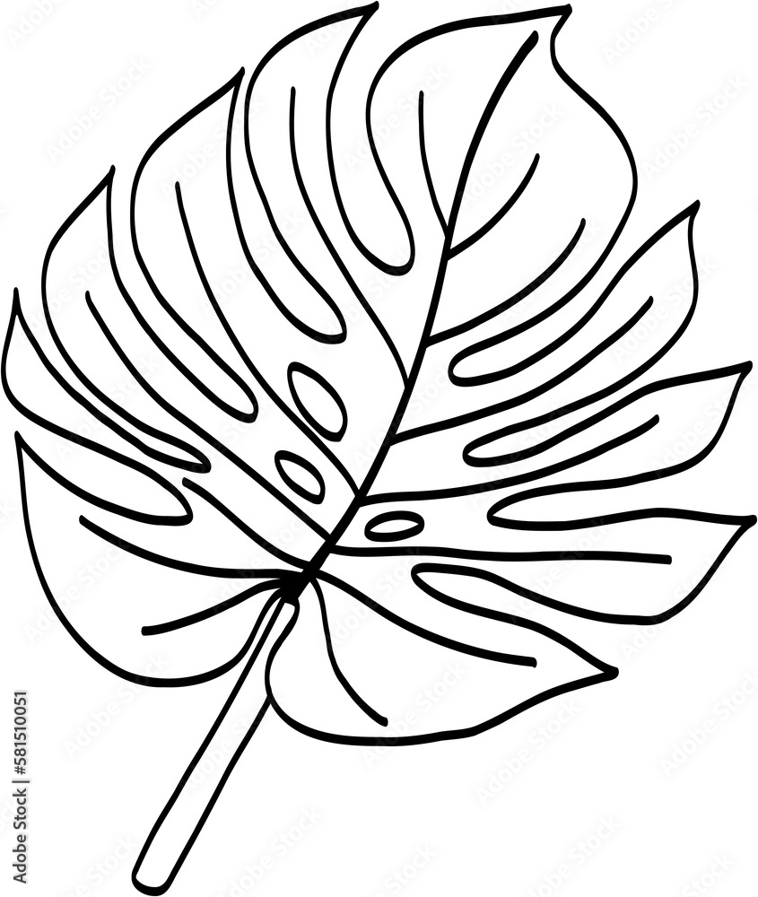 Simplicity monstera leaf freehand drawing Simplicity monstera leaf freehand drawing