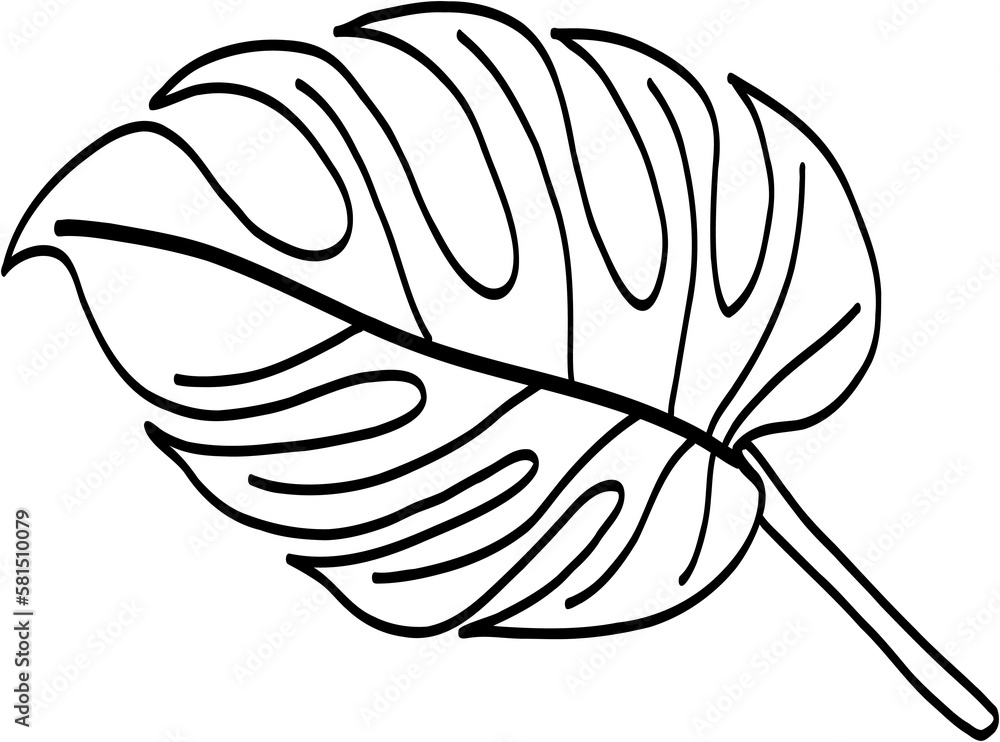 Simplicity monstera leaf freehand drawing Simplicity monstera leaf freehand drawing