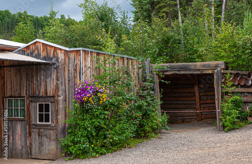 Fox, Alaska, USA - July 26, 2011: Eldorado Gold Mine museum and park. Old wooden buildings set in green forest. Some green and purple flowers