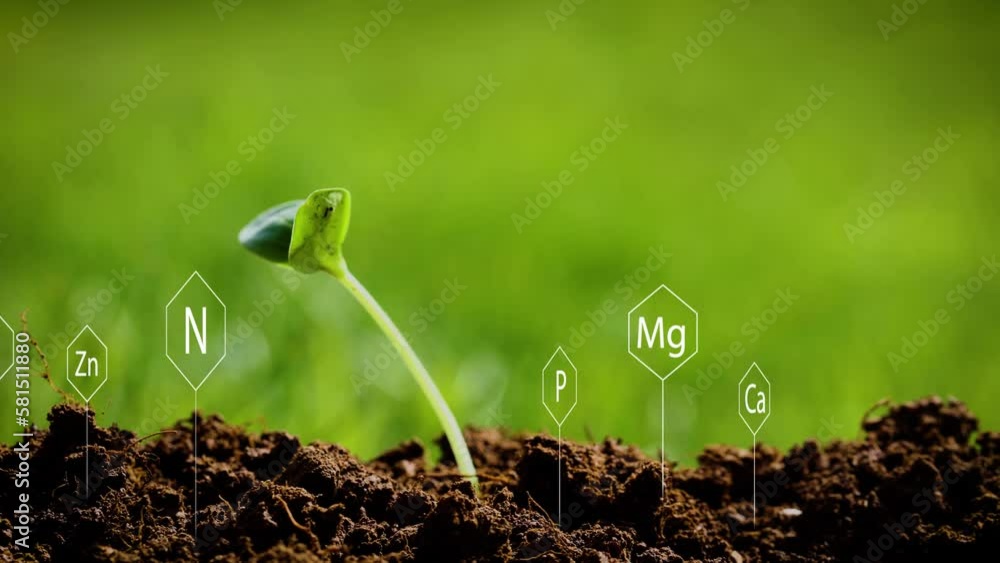 Chemical symbols of calcium, magnesium, potassium, nitrogen and