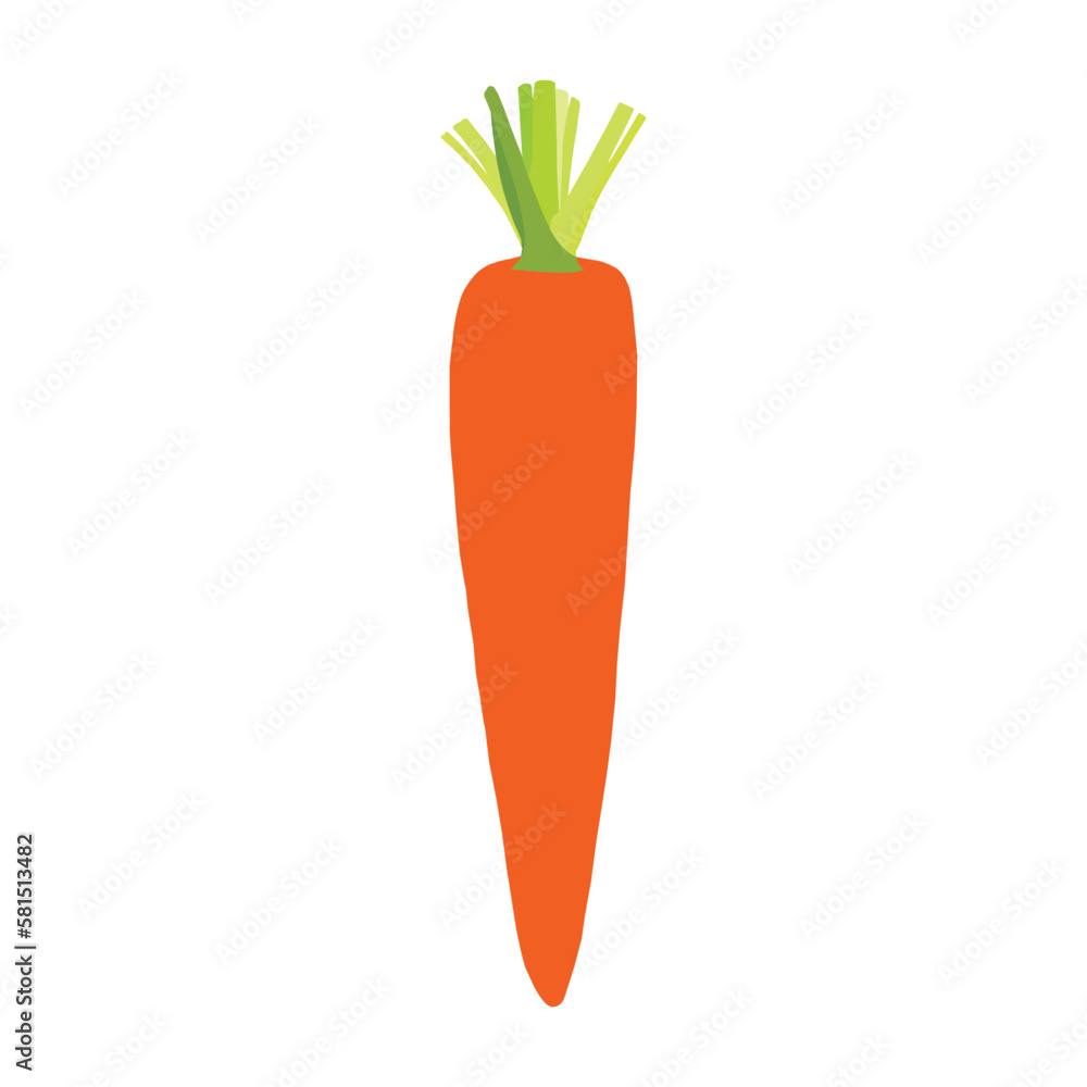 A beautiful carrot vector art work. A beautiful carrot vector art work.