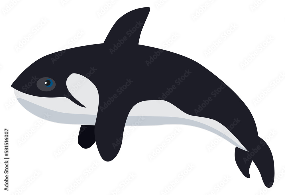 Fototapeta premium Orca icon. Underwater animal. Arctic ocean fauna