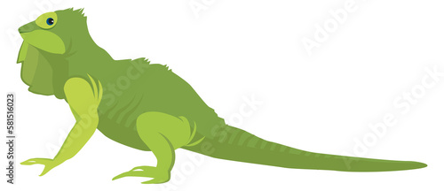 Green lizard. Iguana icon. Funny reptile animal © ONYXprj