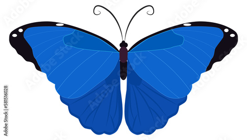 Blue butterfly icon. Night moth. Flying insect © ONYXprj
