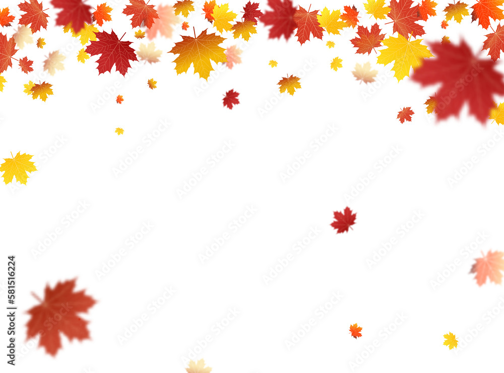 Autumn falling leaves on transparent background PNG template. Autumn Leaf PNG Autumn falling leaves on transparent background PNG template. Autumn Leaf PNG