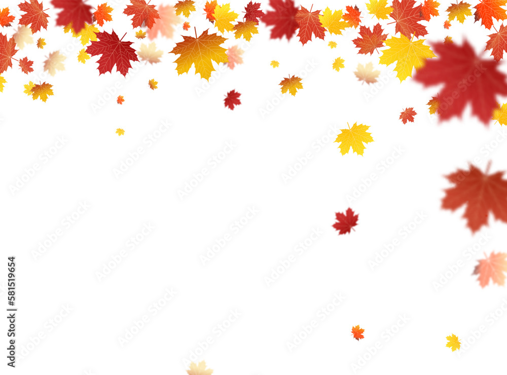 Autumn falling leaves on white background vector template. Autumn Leaf vector Autumn falling leaves on white background vector template. Autumn Leaf vector