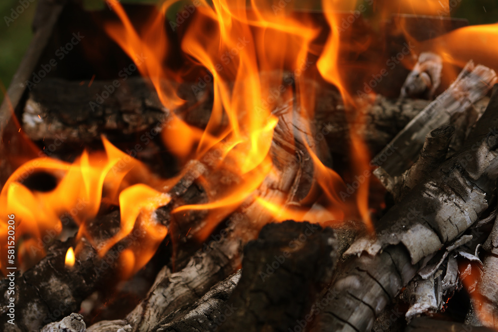 Fire on the grill, grill for cooking fried meat in nature during a picnic or summer vacation. Background Charcoal bonfire for barbeque advertising with restaurant and cafe flames. Menu background Fire on the grill, grill for cooking fried meat in nature during a picnic or summer vacation. Background Charcoal bonfire for barbeque advertising with restaurant and cafe flames. Menu background