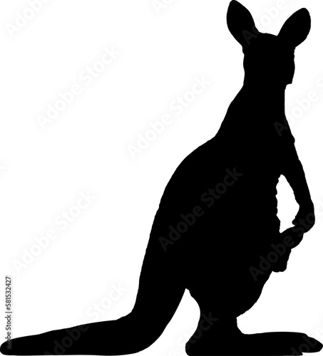 Silhouette Känguru