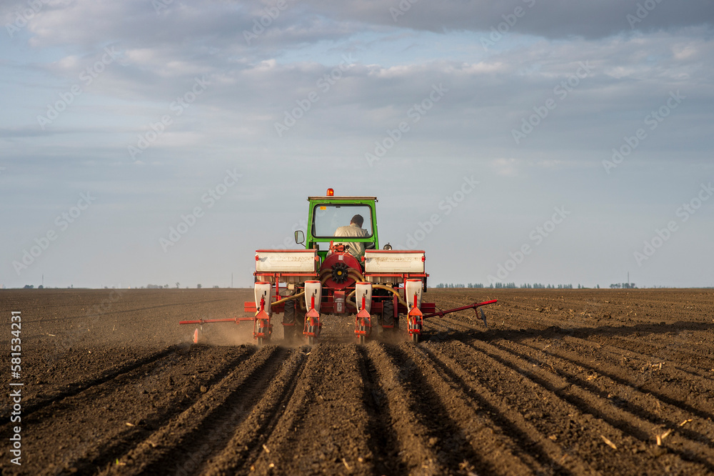 Obraz premium Sowing crops at agricultural fields in spring