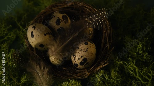 Quail eggs in the nest, quail feathers flying to the nest. Moss on a green background, eco food, interesting presentation of food in the rectory, original decoration of the dish. Nature and light