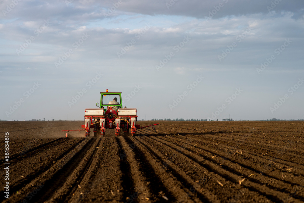 Fototapeta premium Sowing crops at agricultural fields in spring