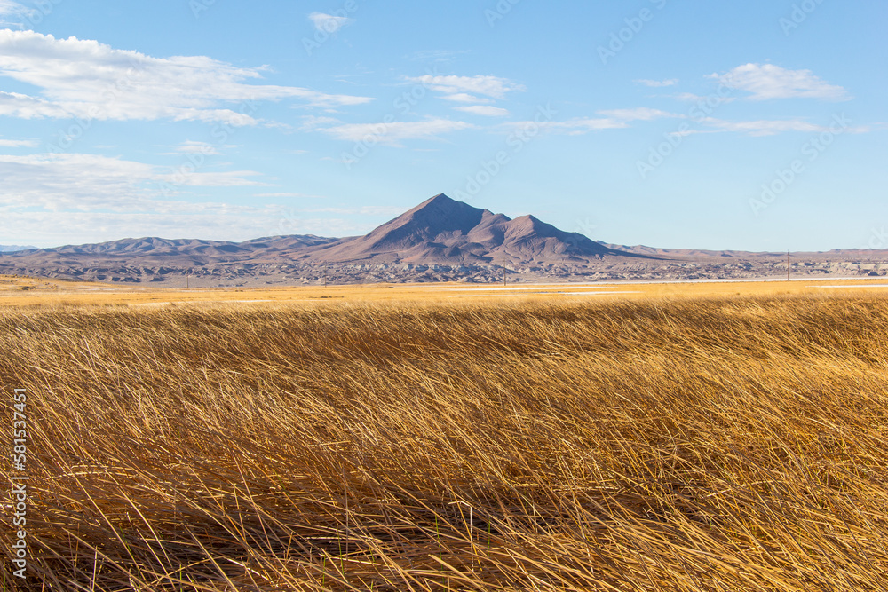 Tall golden grass and a sharp pointy mountain in the distance