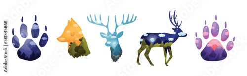 Silhouettes of Wild Animal and Footprint with Natural Forest Landscape Inside Vector Set