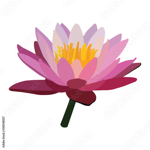 A beautiful water lily flower vector art work.
