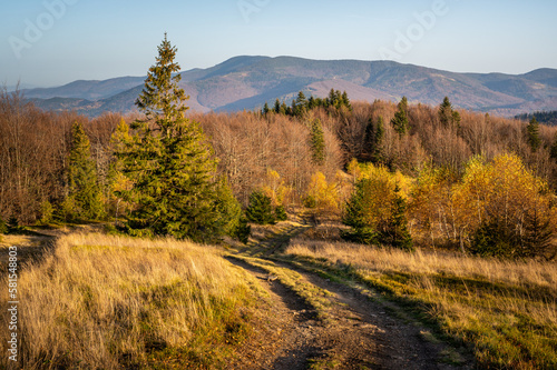 Fototapeta Naklejka Na Ścianę i Meble -  Piękna Beskidzka sceneria w okolicach szczytu Beskidek.
