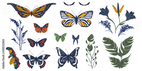 Butterfly Garden. Beautiful Insect Illustration Set