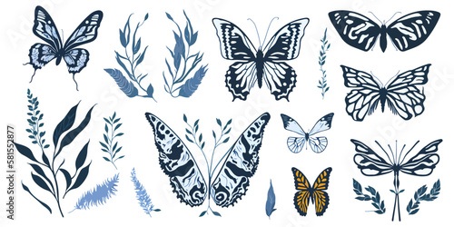 Patterned Flight. Vector Collection of Multicolored Butterflies
