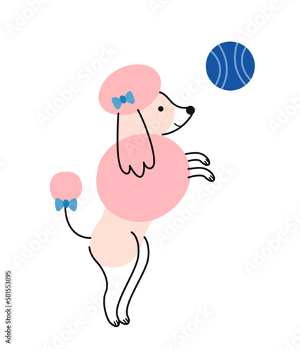 Cute Doodle Dog. Colorful sticker with beautiful poodle playing with ball. Puppy training. Charming playful animal or funny smiling pet. Cartoon flat vector illustration isolated on white background