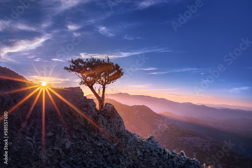 A lonely juniper in the mountains at sunset. Cyprus, Mount Madari. Stunning landscape. Horizontal photo.