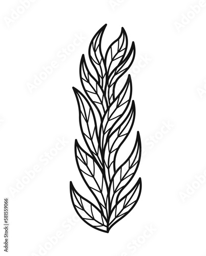 Minimalistic floral branch. Hand drawn icon with wild field plant or plantain leaves. Medicinal herb. Organic Design element for logo. Cartoon flat vector illustration isolated on white background