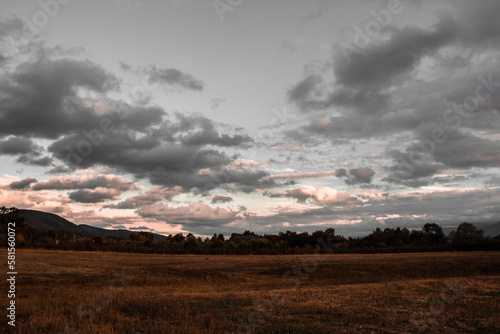 sunset over the field