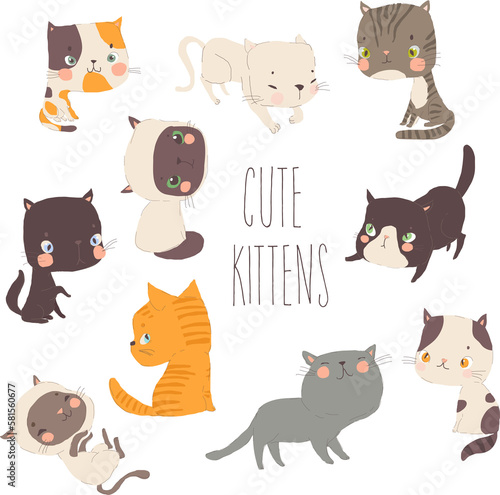 set of cats