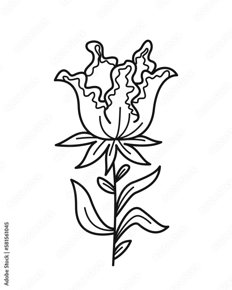 Minimalistic floral branch. Hand drawn icon with elegant iris bud. Beautiful field or garden plant. Design element for postcard and print. Cartoon flat vector illustration isolated on white background