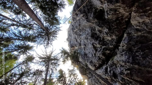 Low angle shot of a big climbing rock in a conifer forest.