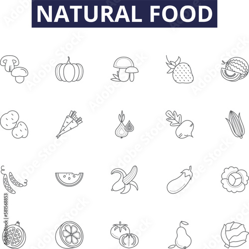 Natural food line vector icons and signs. Vegetarian, Vegan, Unprocessed, Wholefood, Raw, Fresh, Sprouted, Natural outline vector illustration set