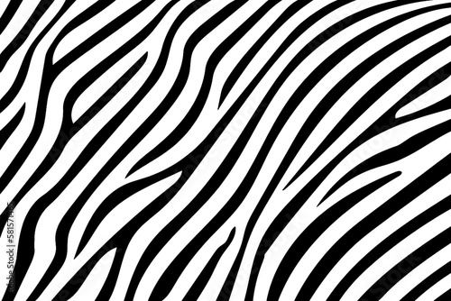 Zebra skin pattern. Template for design in black and white colors. © Noval