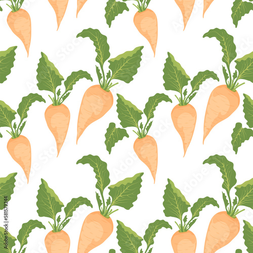 Sugar beet pattern on white background.Seamless background from white beets.