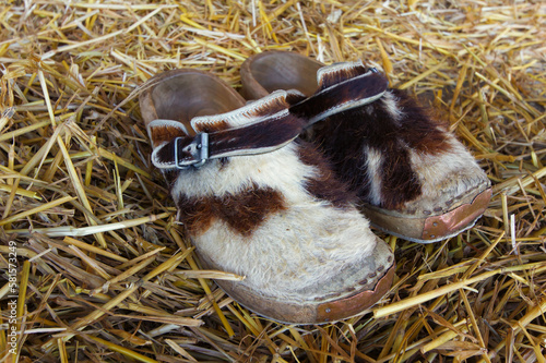 Traditional shoes of a German farmer made from cow fur