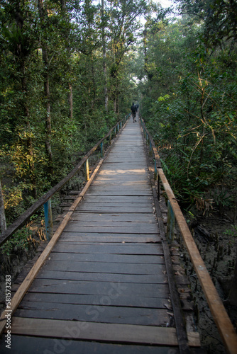 sundarban forest, mangrove forest, bangladesh © Iqbal