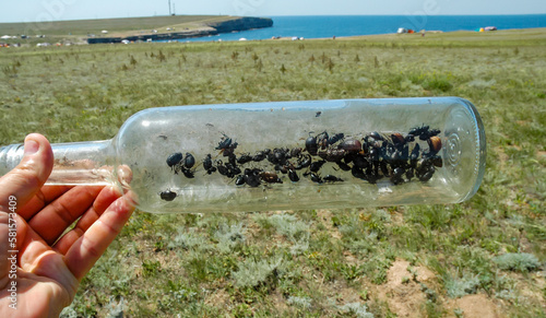 A glass bottle thrown in nature - an insect killer, an ecological problem of garbage in nature, Crimea, Tarkhankut Atlesh photo