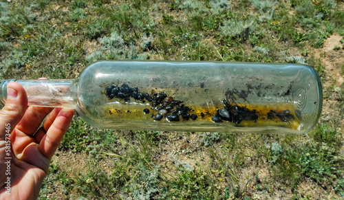 A glass bottle thrown in nature - an insect killer, an ecological problem of garbage in nature, Crimea, Tarkhankut Atlesh photo