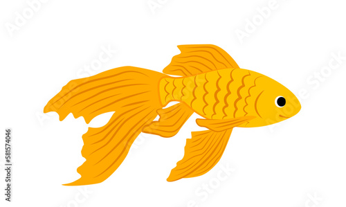 Goldfish. Gold fish. Orange fish. Flat, cartoon, vector