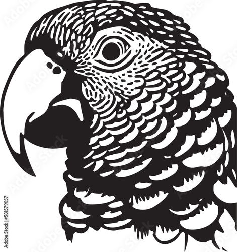 Parrot head Vector illustration, on a isolated background, SVG